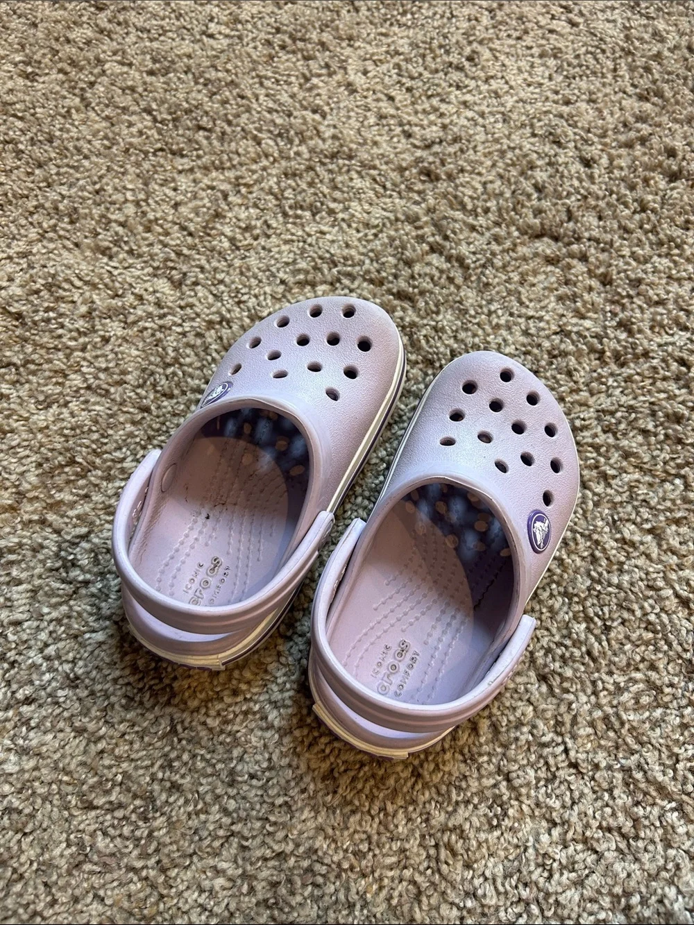 Purple toddler crocs